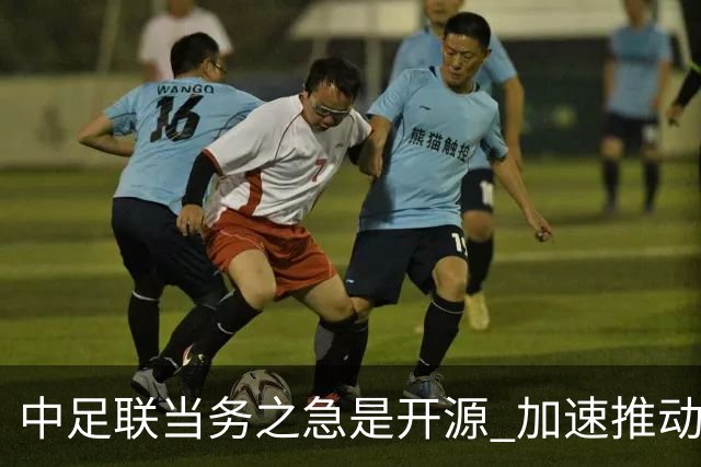 中足联当务之急是开源 加速推动中国足球职业化